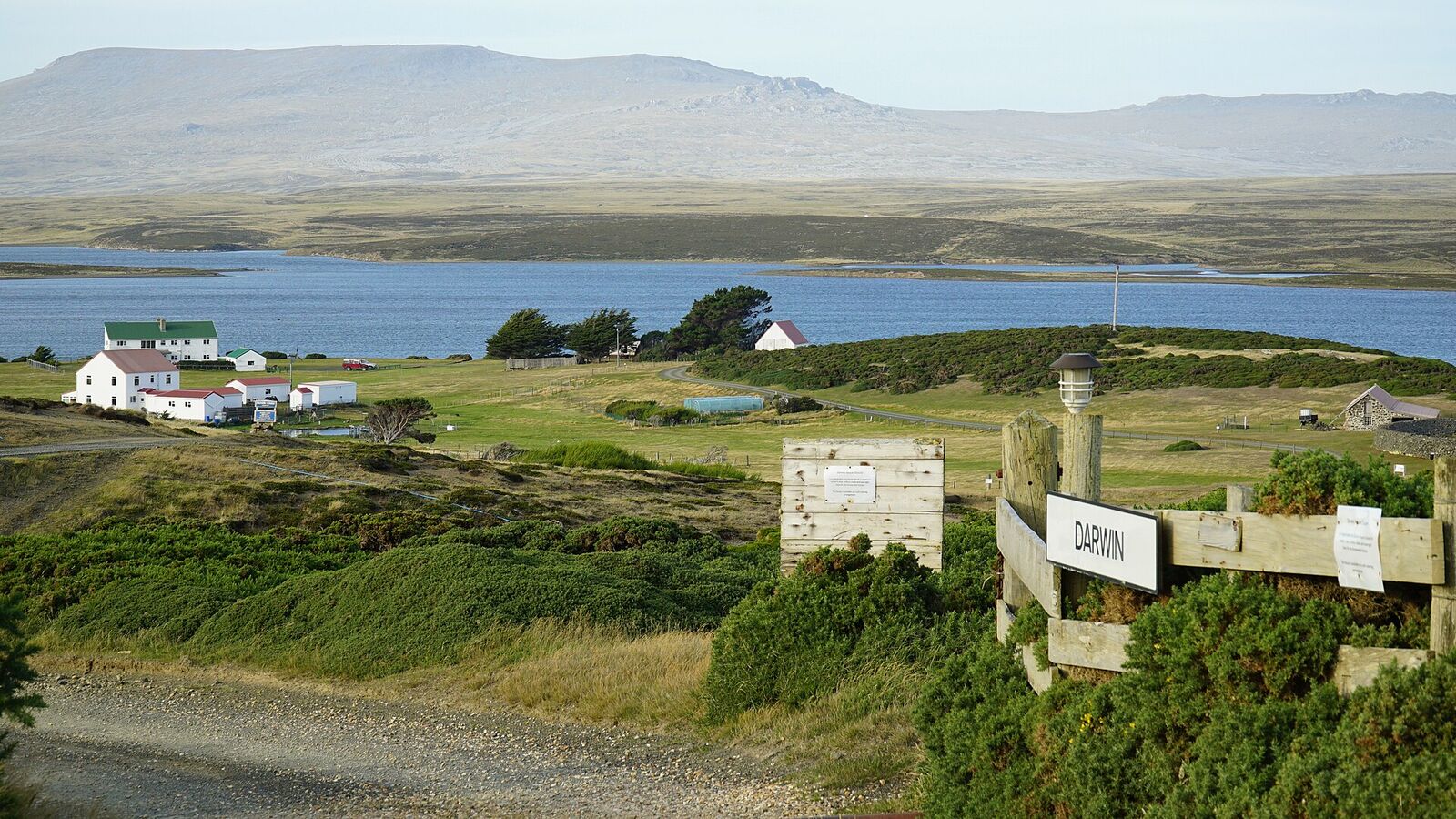 De settlement Darwin met witte huizen aan een baai en de heuvels van Oost-Falkland op de achtergrond