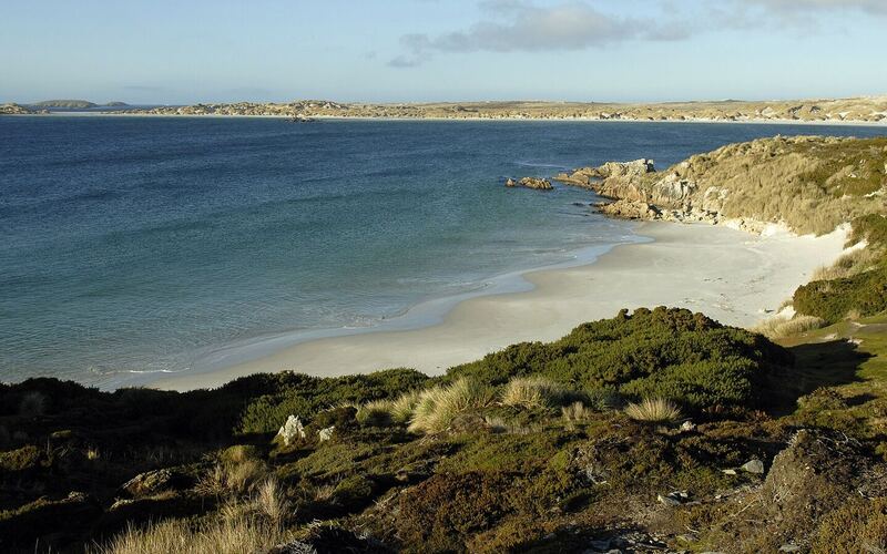 De beschutte baai van Gypsy Cove met wit zandstrand en heldergroen water op Oost-Falkland