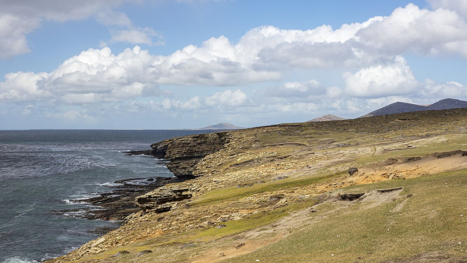 Groene kustlijn met lage kliffen en de oceaan op Saunders Island bij West-Falkland