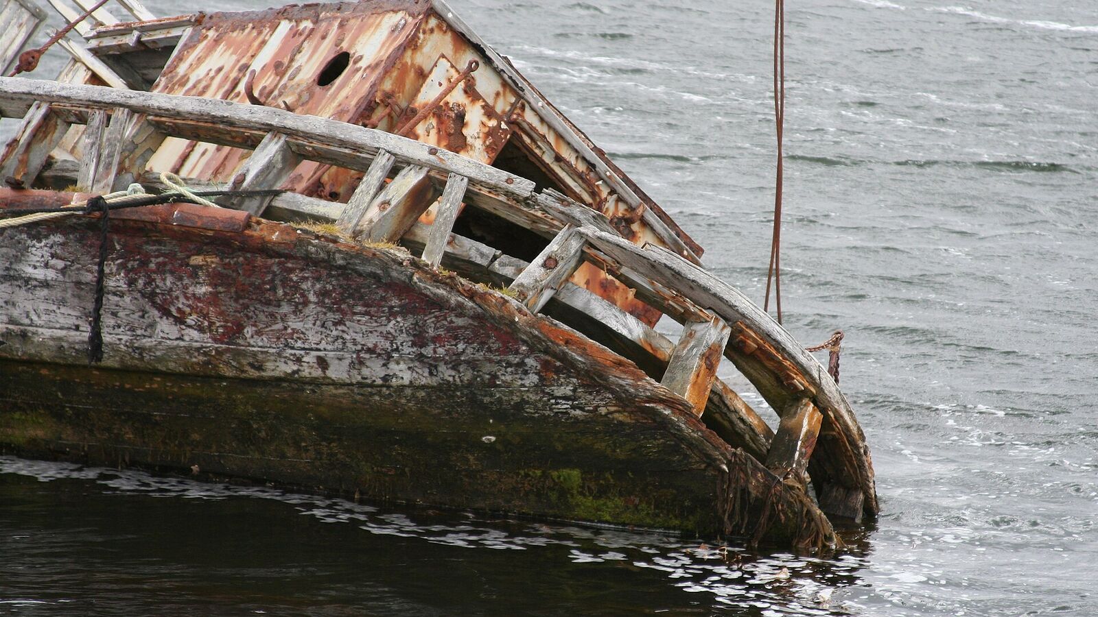 Verweerd houten scheepswrak met roestige spanten in het ondiepe water van Stanley Harbour