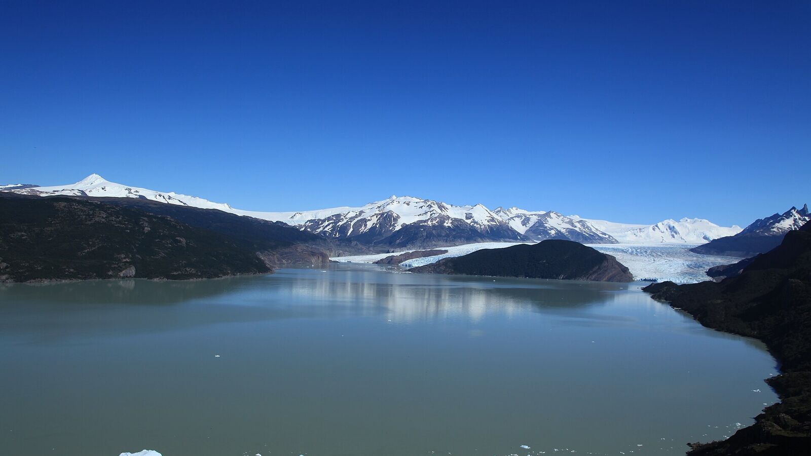 Het Lago Grey met drijvend ijs en de Grey-gletsjer in de verte onder een blauwe lucht