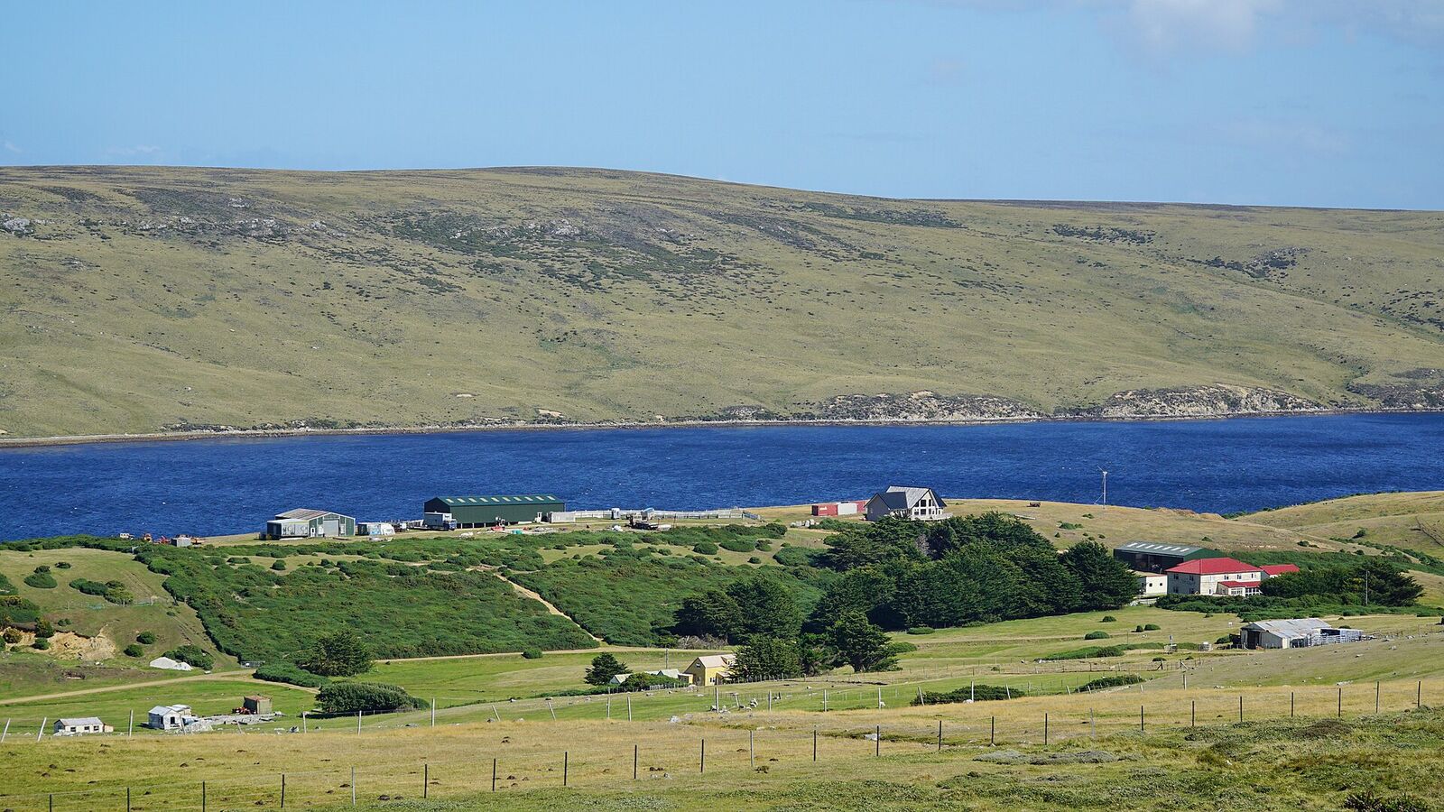 Groene hellingen en een paar boerderijgebouwen aan de blauwe baai bij Port San Carlos