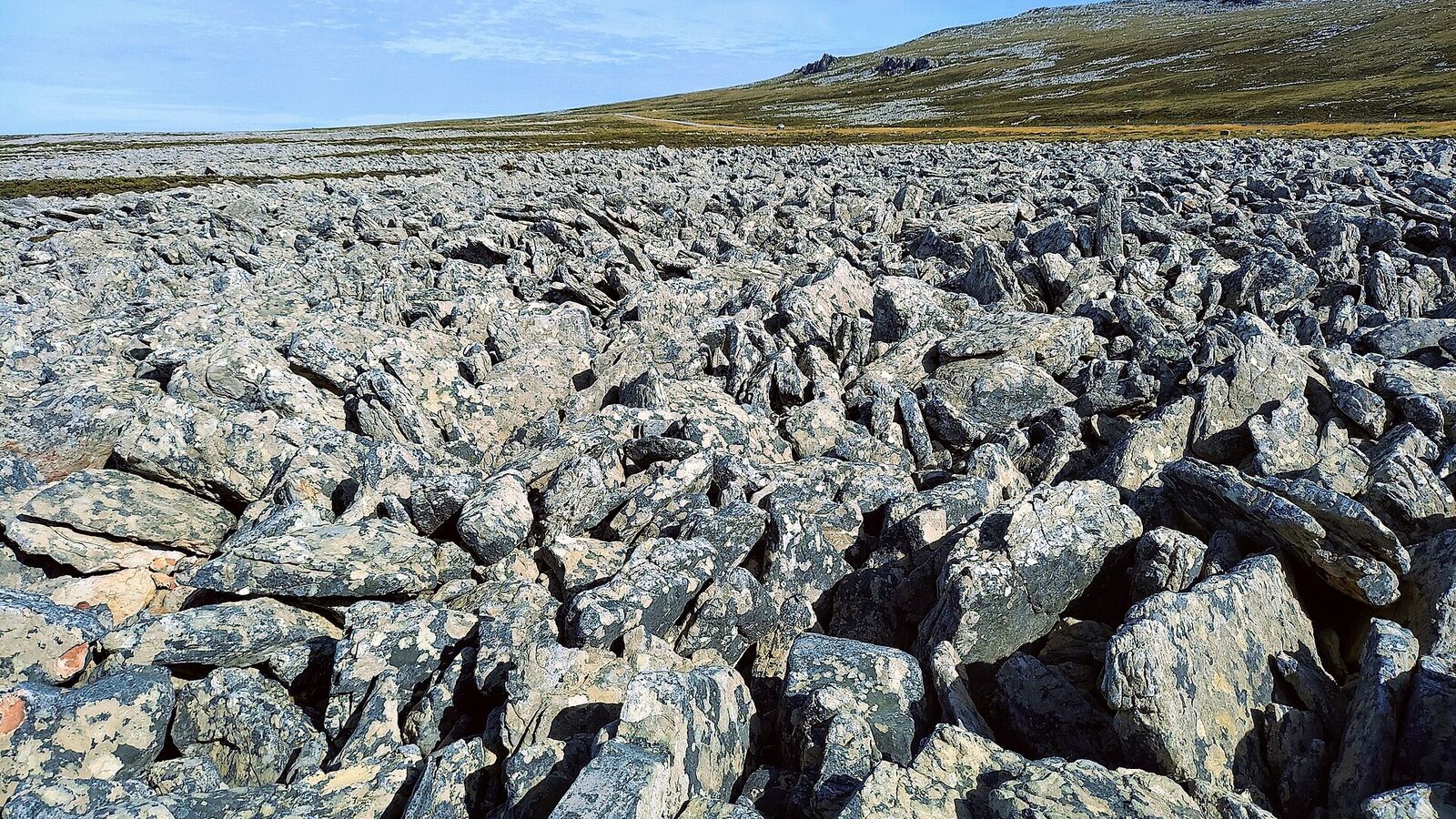 Een brede stroom van grijze keien, een stone run, slingert door een groene vallei op East Falkland